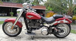 Harley Davidson Fatboy 114 Year 2019